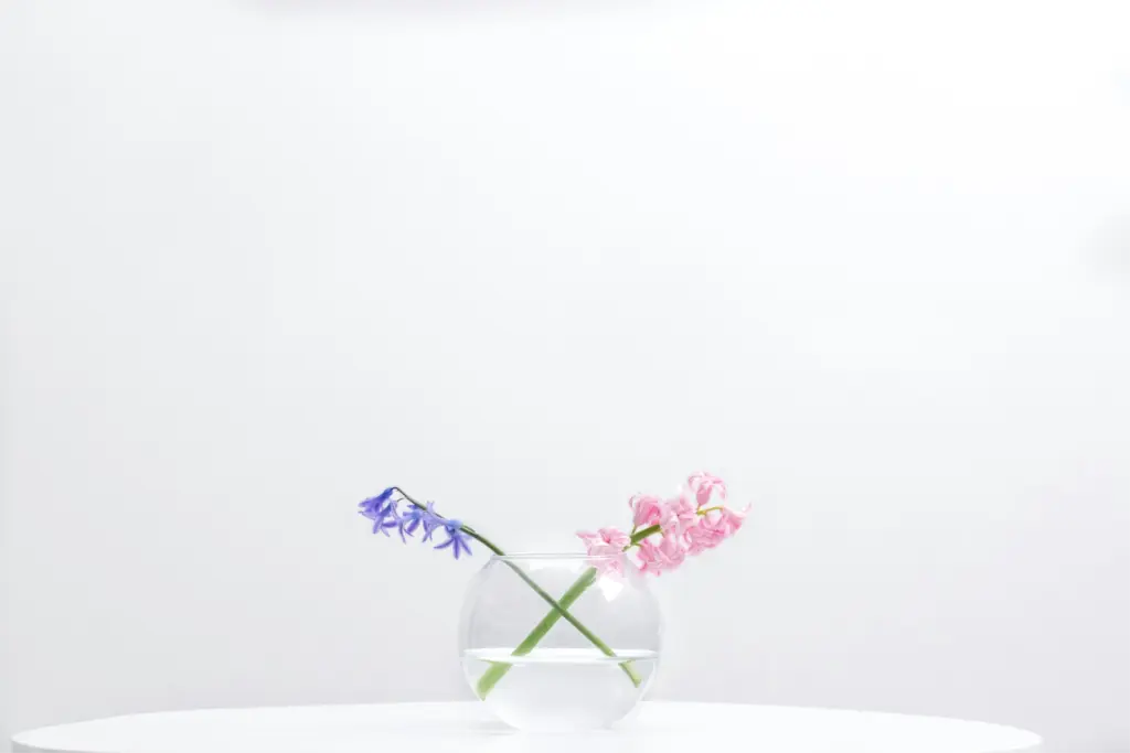 flowers in a vase